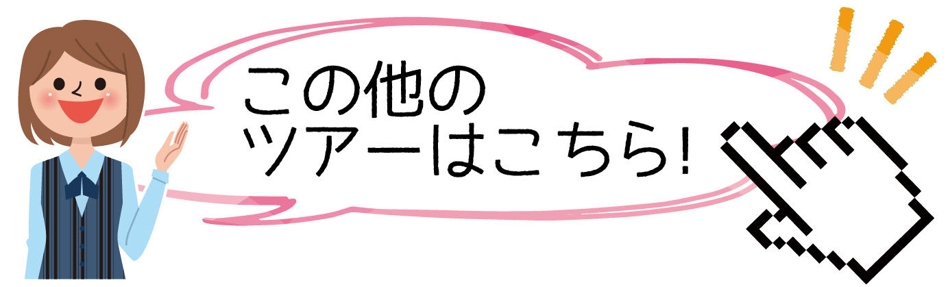 この他にもいろいろツアーあります！